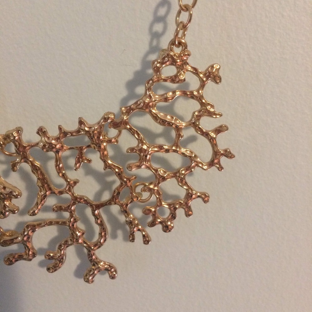 Francesca’s Coral Necklace